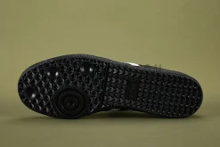 the black sole