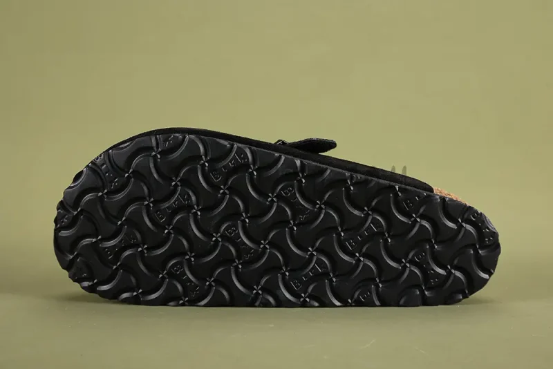 the black sole